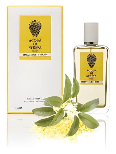 Acqua di Stresa Osmanthus Fragrans