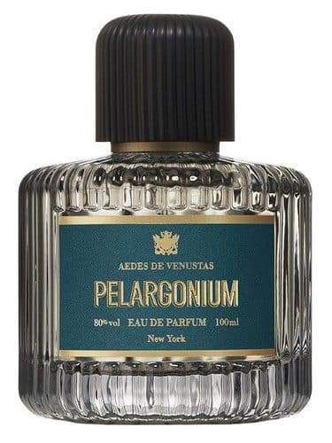 Aedes de Venustas Pelargonium