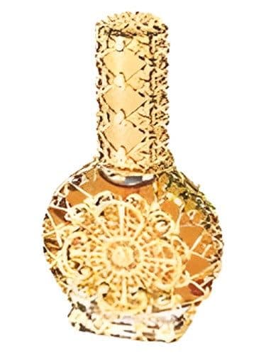 Ajne Bloom de Nuit Night S Bloom