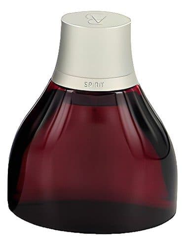 Antonio Banderas Spirit for Men