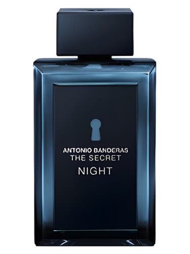 Antonio Banderas The Secret Night