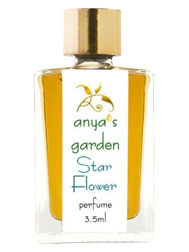 Anya S Garden Star Flower