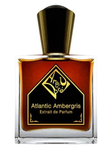 Areej le Dore Atlantic Ambergris