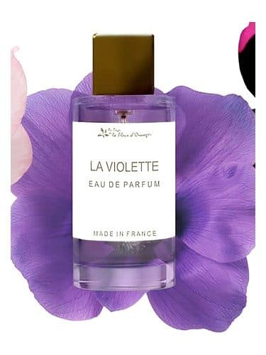 Au Pays de la Fleur D Oranger La Violette