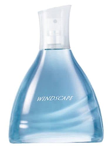 Avon Windscape for Him