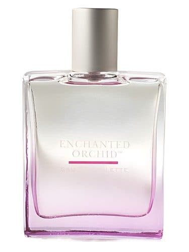Bath and Body Works Enchanted Orchid