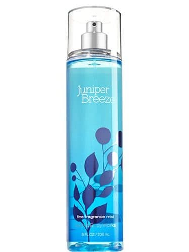 Bath and Body Works Juniper Breeze