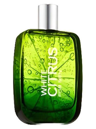 Bath and Body Works White Citrus for Men