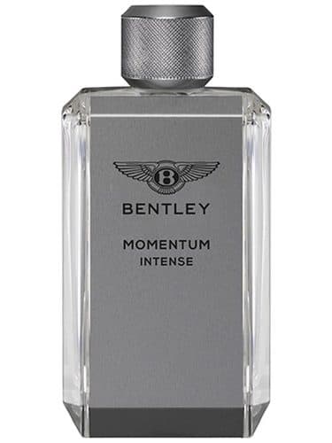 Bentley Momentum Intense