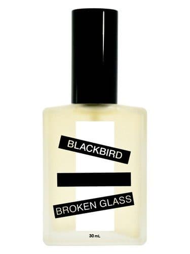 Blackbird Broken Glass