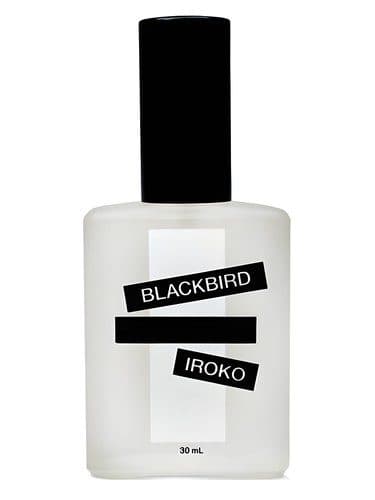 Blackbird Iroko