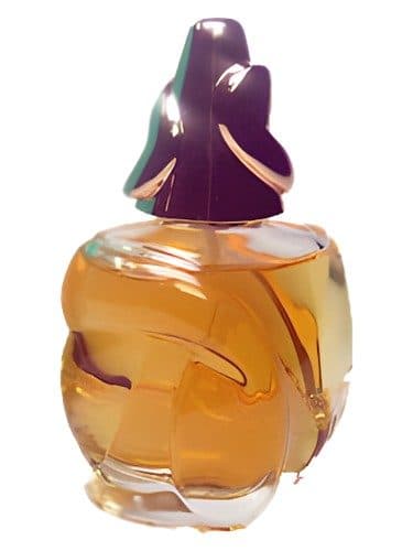 Bogner Sonia Bogner Now