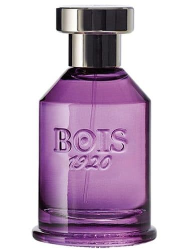 Bois 1920 Spigo 1920