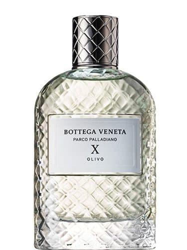 Bottega Veneta Parco Palladiano X Olivo