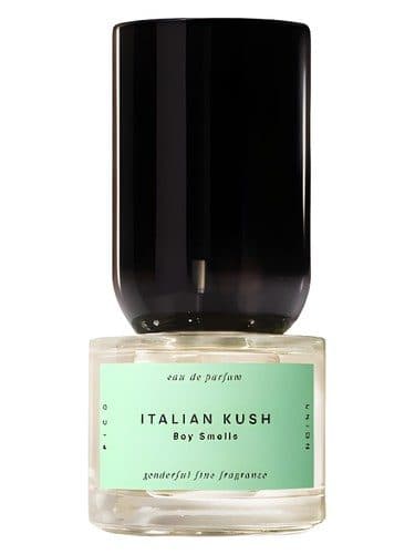 Boy Smells Italian Kush