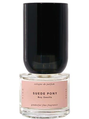 Boy Smells Suede Pony