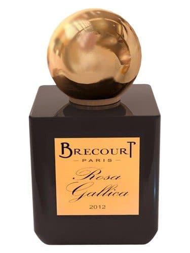 Brecourt Rosa Gallica
