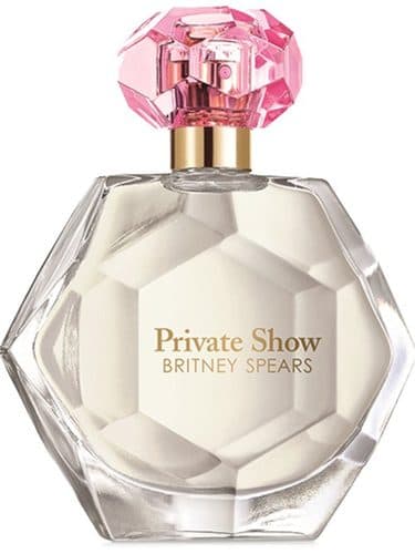 Britney Spears Private Show