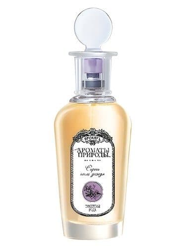 Brocard Siren Posle Dozda Lilac After the Rain