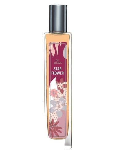 Brocard Star Flower