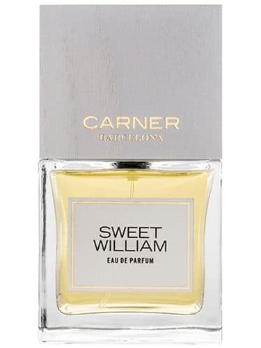 Carner Barcelona Sweet William