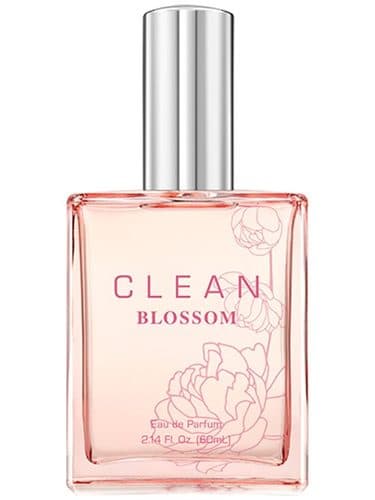 Clean Clean Blossom