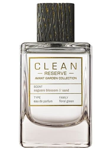 Clean Saguaro Blossom Sand