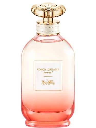 Coach Coach Dreams Sunset