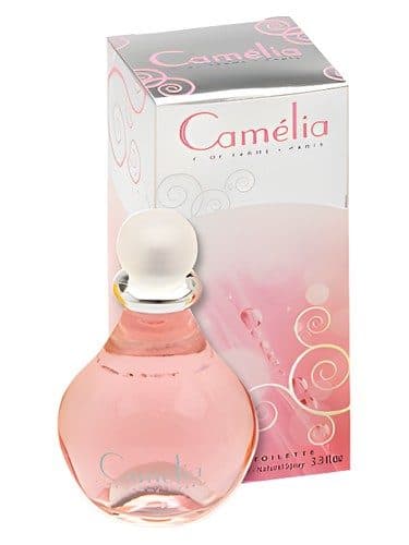Corine de Farme Camelia