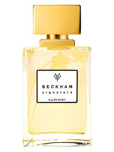 David Beckham Signature Summer for Her