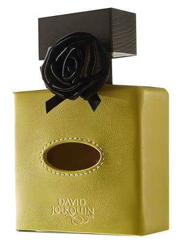 David Jourquin Cuir Solaire