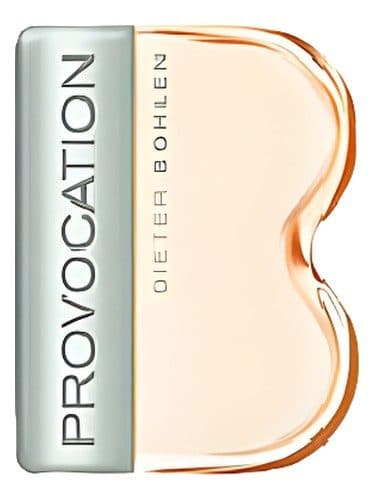 Dieter Bohlen Provocation for Women