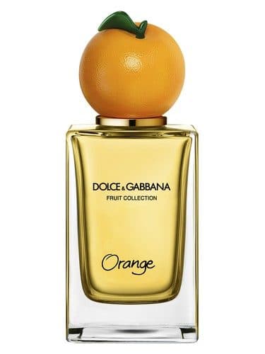 Dolce & Gabbana Orange