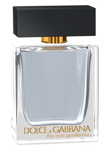 Dolce & Gabbana The One Gentleman