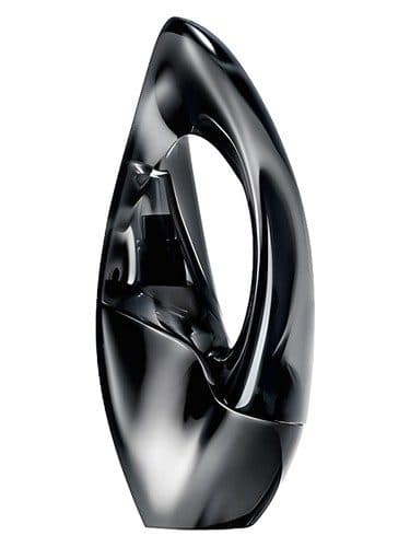 Donna Karan Woman