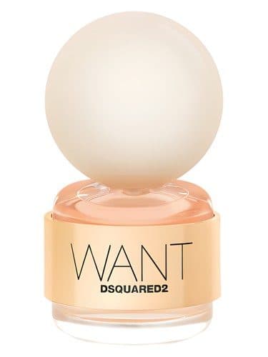 Dsquared2 Want