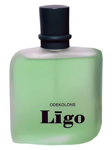 Dzintars Ligo Ligo