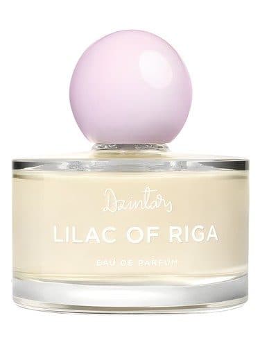 Dzintars Lilac of Riga Rizskaa Siren 2022