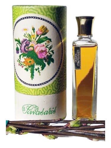 Dzintars Pavasaris Vesna