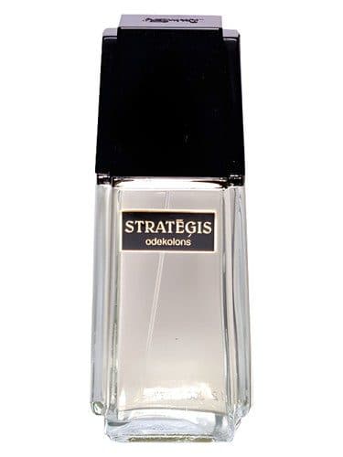 Dzintars Strategis