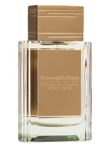 Ermenegildo Zegna Strength