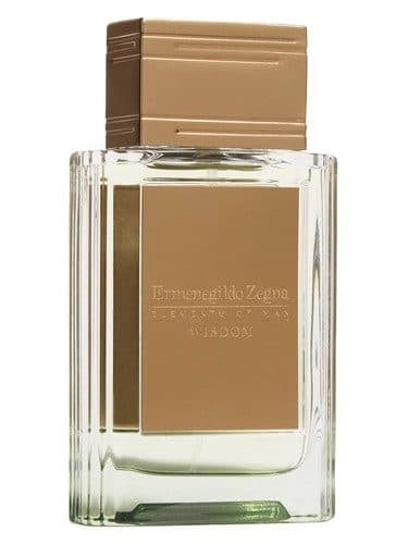 Ermenegildo Zegna Wisdom