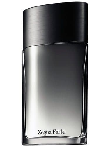 Ermenegildo Zegna Zegna Forte
