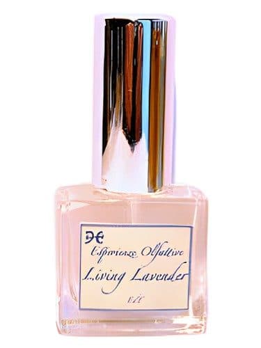 Esperienze Olfattive Living Lavender