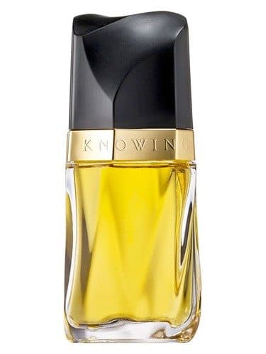 Estee Lauder Knowing
