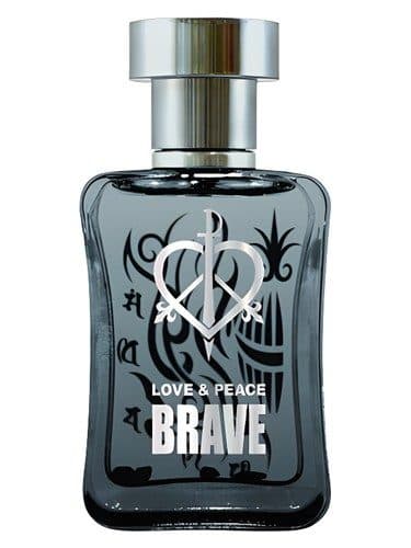 Expand Love Peace Brave