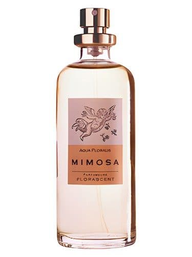 Florascent Mimosa
