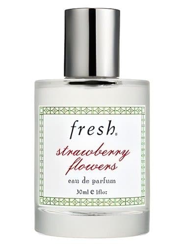 Fresh Strawberry Flowers