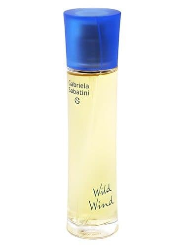 Gabriela Sabatini Wild Wind