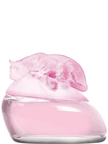 Gale Hayman Delicious Cotton Candy